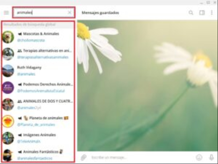 Cómo buscar grupos o canales en Telegram - Cómo buscar grupos o canales de Telegram