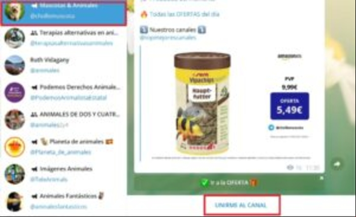 Cómo buscar grupos o canales en Telegram - Cómo buscar grupos o canales de Telegram