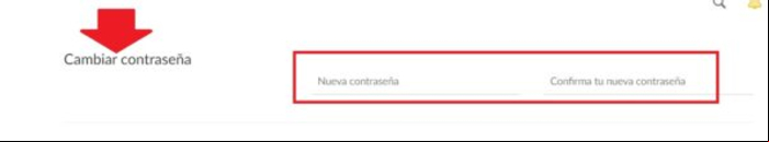 Cómo cambiar la contraseña de Mega - Cambiar la contraseña de Mega desde la web 