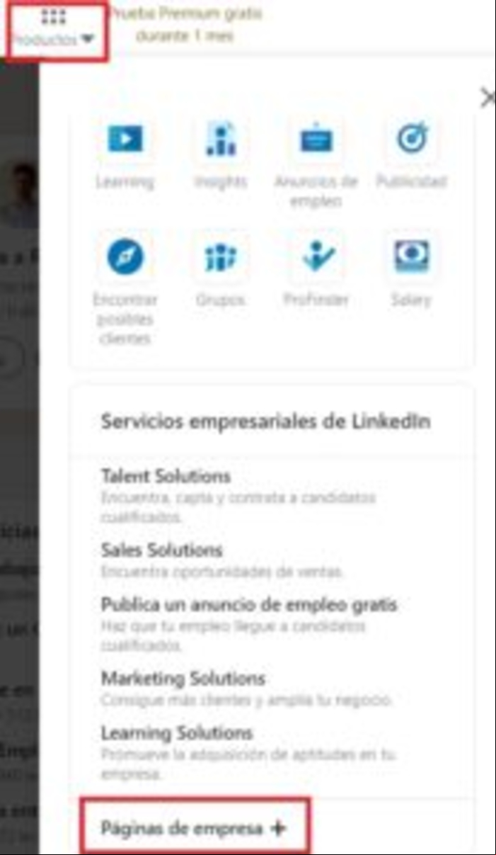 Cómo crear una página de empresa en LinkedIn - Crear página de empresa en LinkedIn