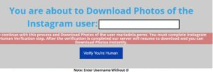 Cómo descargar video de Instagram privado - Descargar vídeos de cuentas privadas sin  a los vídeos