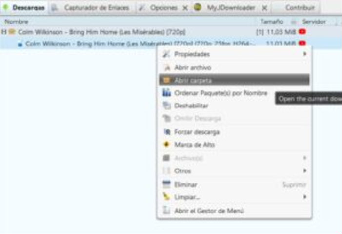 Cómo descargar videos de youtube online - Descargar videos de Youtube con Jer