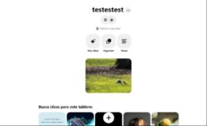 Cómo subir fotos a Pinterest - Pasos para subir tus primeras fotos a Pinterest