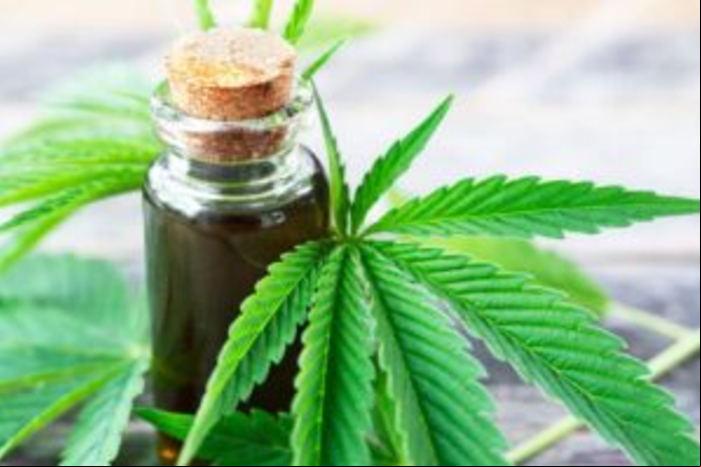 Qué significa 420 en Tinder ¡el código de la hierba! - Día mundial del cannabis